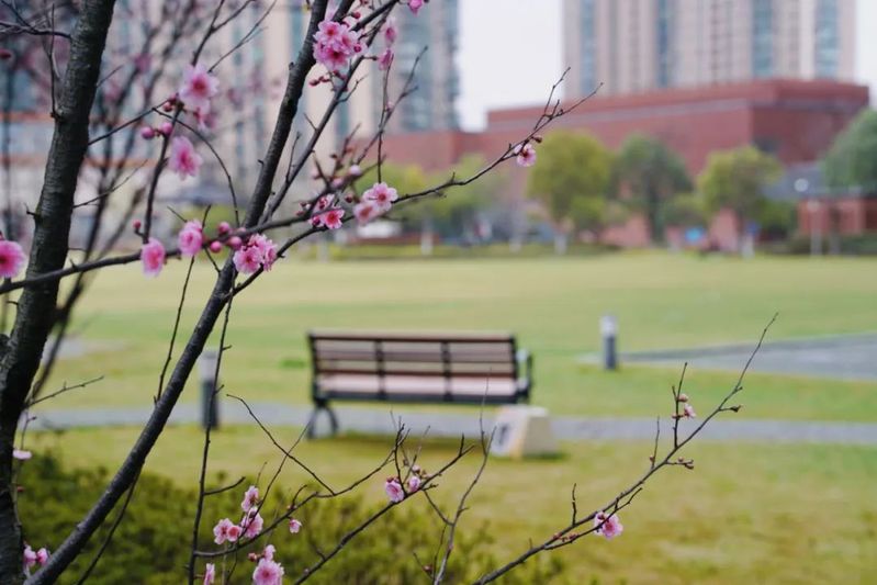 同题参见这样安排可减少漏读与重复检索